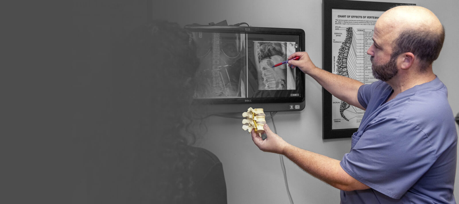 Chiropractor pointing to x-ray