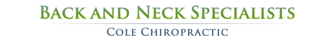 Back and Neck Specialists logo - Home