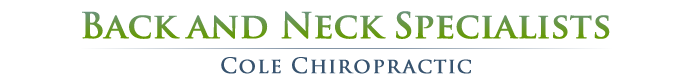 Back and Neck Specialists logo - Home