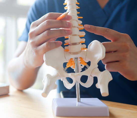Chiropractor pointing at spine