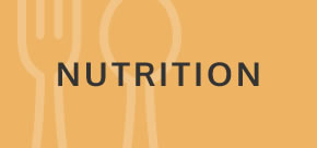 Learn More about Nutrition
