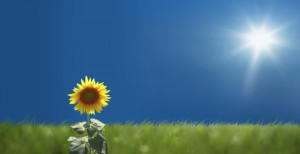 Adjust into tissue ease to create system ease.