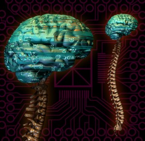 Healthy nervous system free of subluxations allows the brain and body to work effectively.