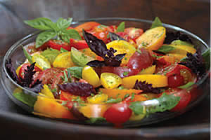 Salade Tomates
