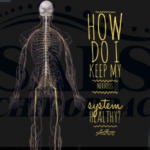 How Do I Keep My Nervous System Healthy Salse Chiropractic