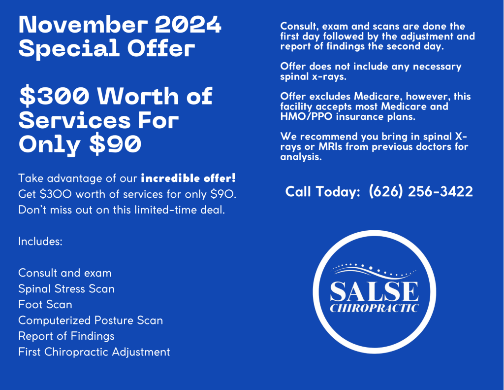 November  II 2024 Special $300 Services for $90