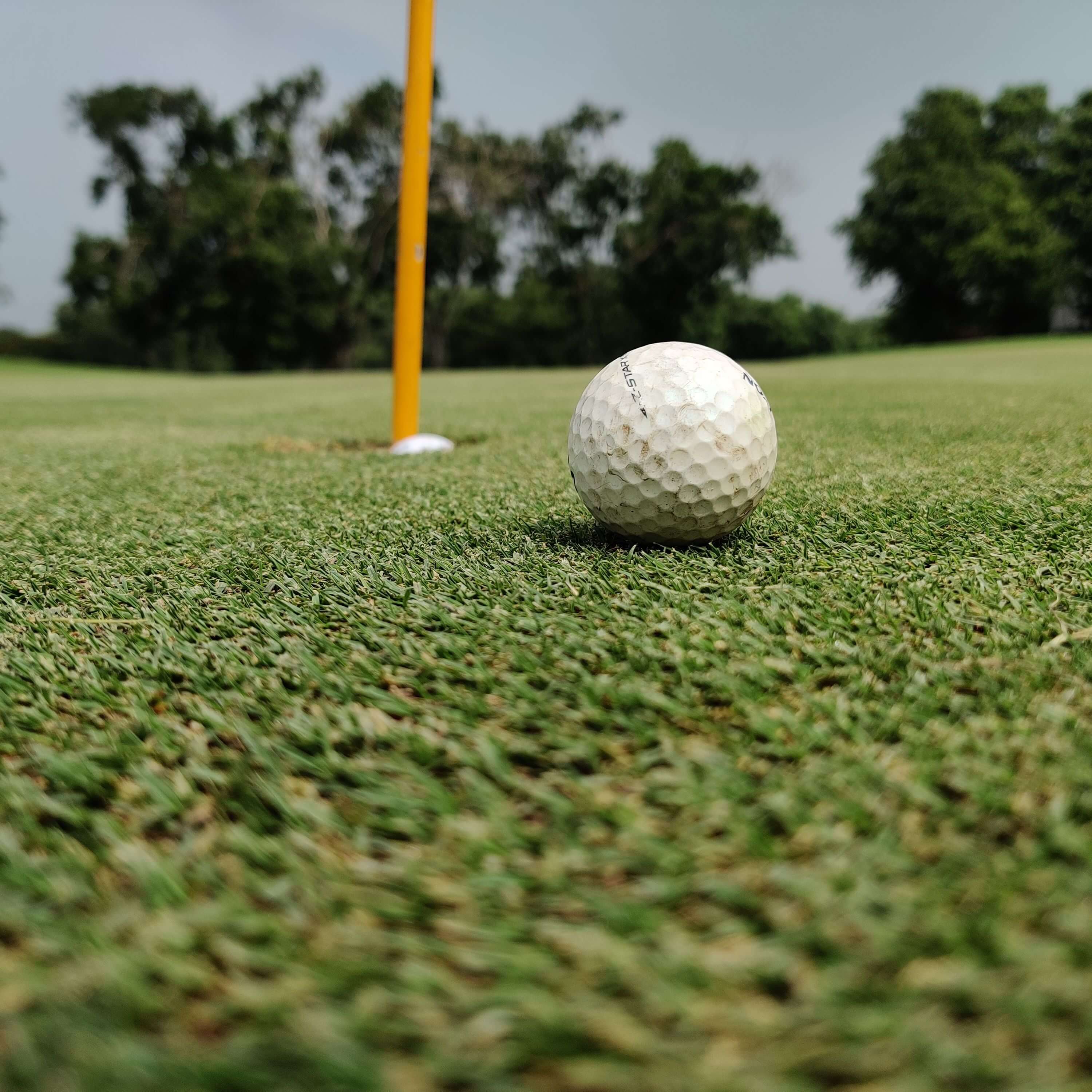 Golf ball near the hole on a lush green course in New Delhi, India, perfect for sports visuals.