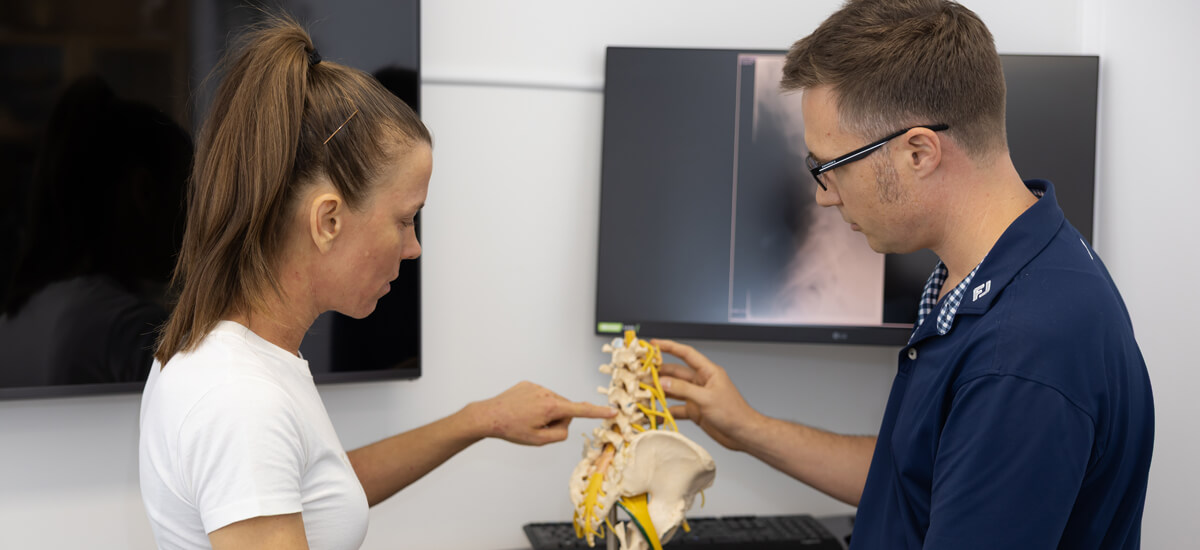 looking at spine model
