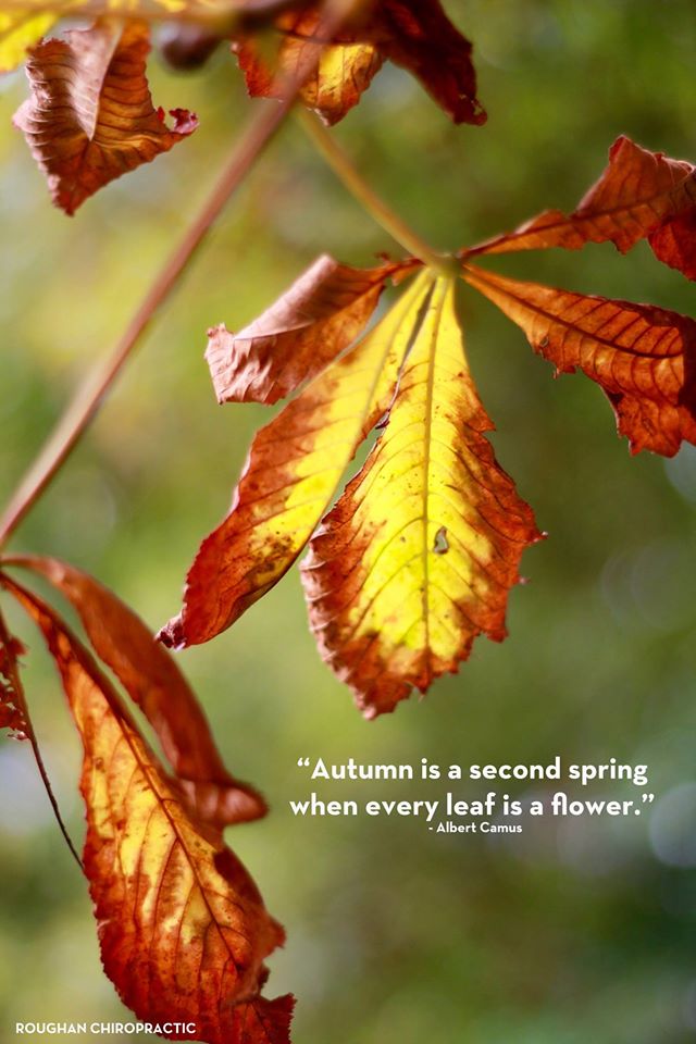 Autumn is a second spring when every leaf is a flower