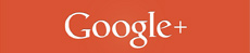 Google Banner