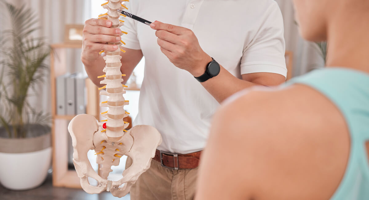 Chiropractor using pen to point at spine model