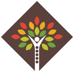 All Seasons Chiropractic logo