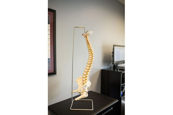 Photo of Spine Bridge to Health Chiropractic