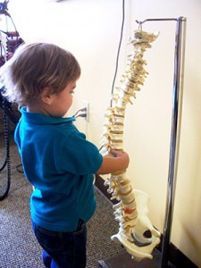 Baby Playing with Demonstration Spine