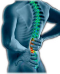 spinal rejuvenation