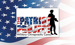 Patriot Project Logo