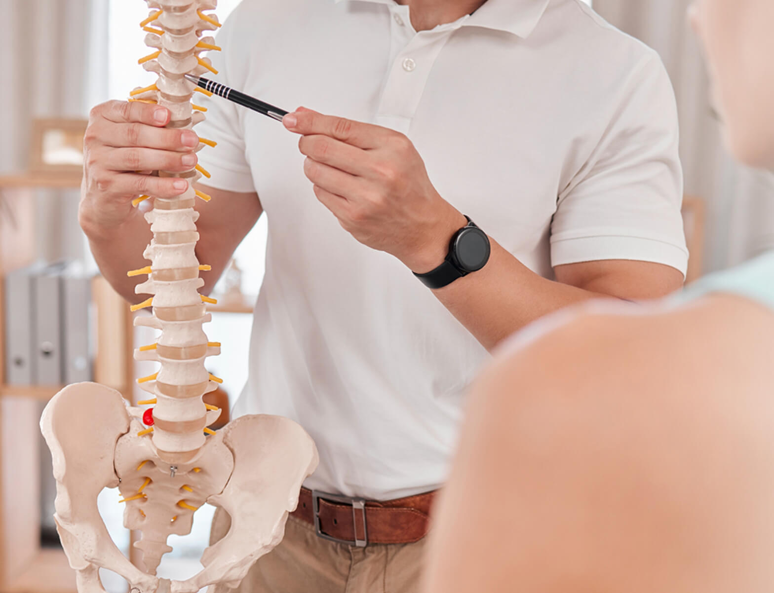 Chiropractor using a pen to point at a model of a spine