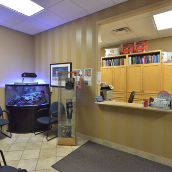 Sarnia Chiropractic Office