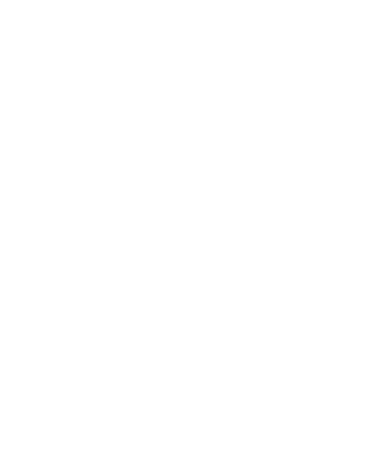 Seim Chiropractic and Wellness logo - Home