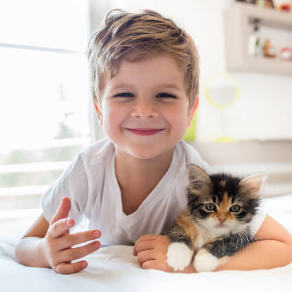 Little boy holding a kitten