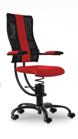 Spinalis Chair