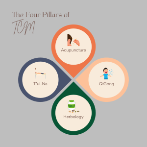 4 PIllars of TCM