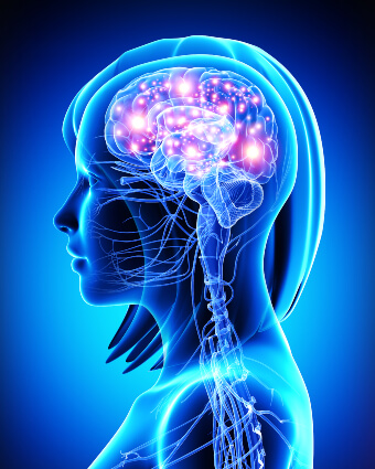 Illustration of brain with activity