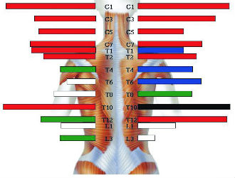 Surface EMG