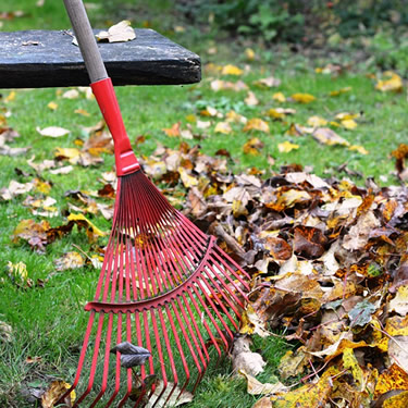 Protect your back when Raking leaves
