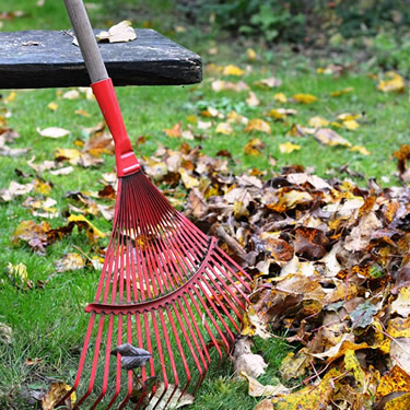 Best way deals to rake leaves