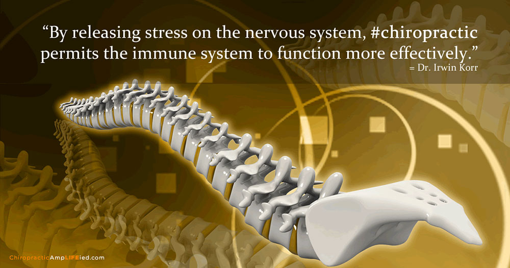 Chiropractic Care and Immune System Function - Dr Vic, Chiropractor in La Grange