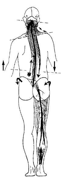 trt_diagram-202x605