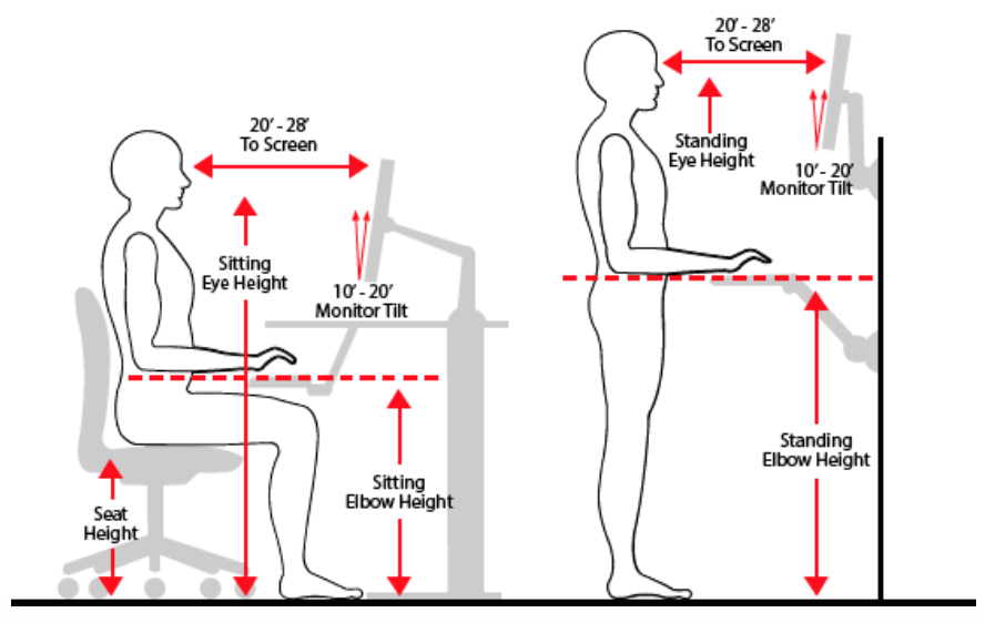 sitting and standing eye height ilustration