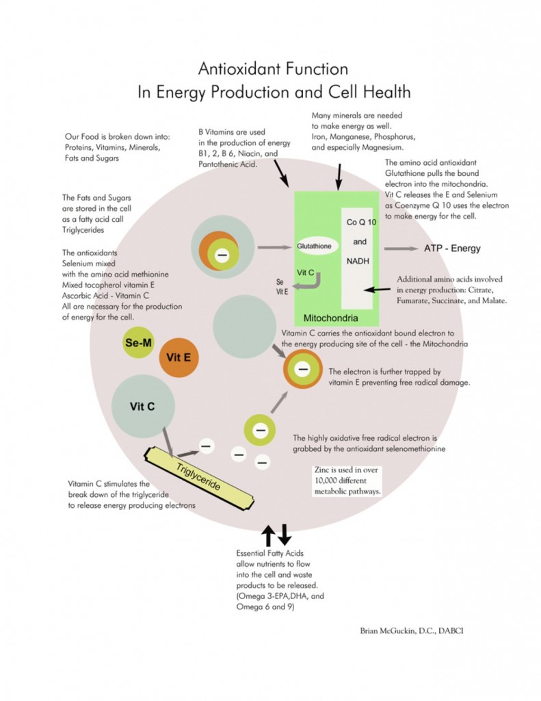 PREVENTION CELLULAR DETOX OMEGA 3 OILS McGuckin Chiropractic