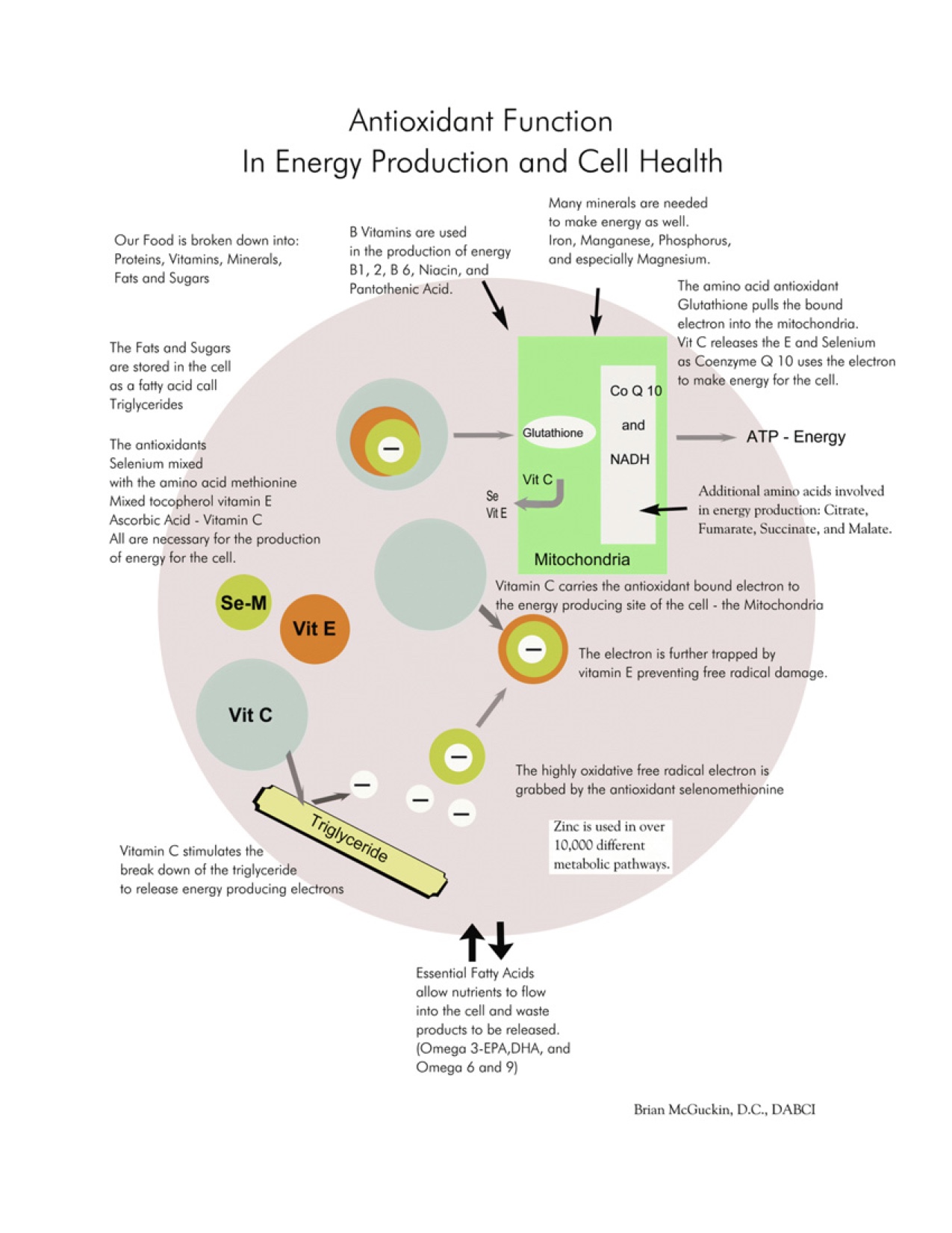 PREVENTION CELLULAR DETOX & OMEGA 3 OILS | McGuckin Chiropractic