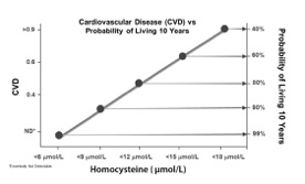 Homocysteine3