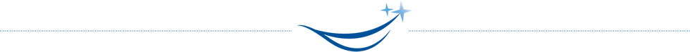 Seaford Smiles Logo Divider