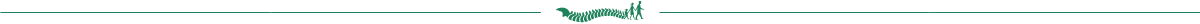 divider