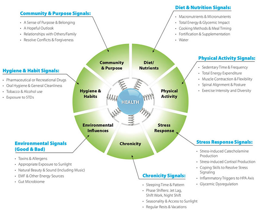 health diagram chart