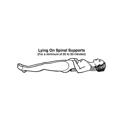 spinal molding illustration
