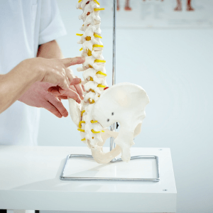 Pregnancy Chiropractor