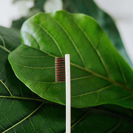 Organic-Toothbrush