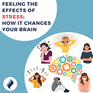 blog-effect-of-stress