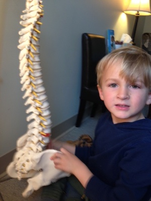 Child With Spine Model