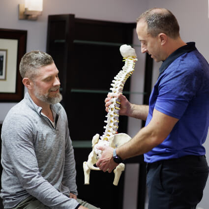 holding spine model