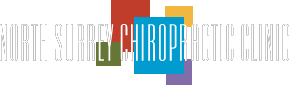North Surrey Chiropractic Clinic logo - Home