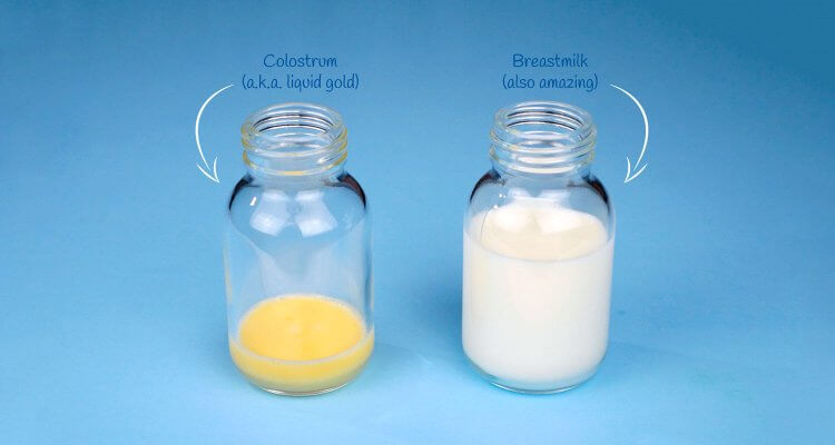 Liquid Gold Colostrum