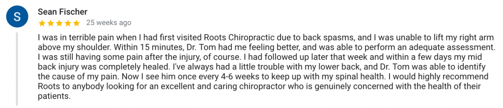 chiropractic care review