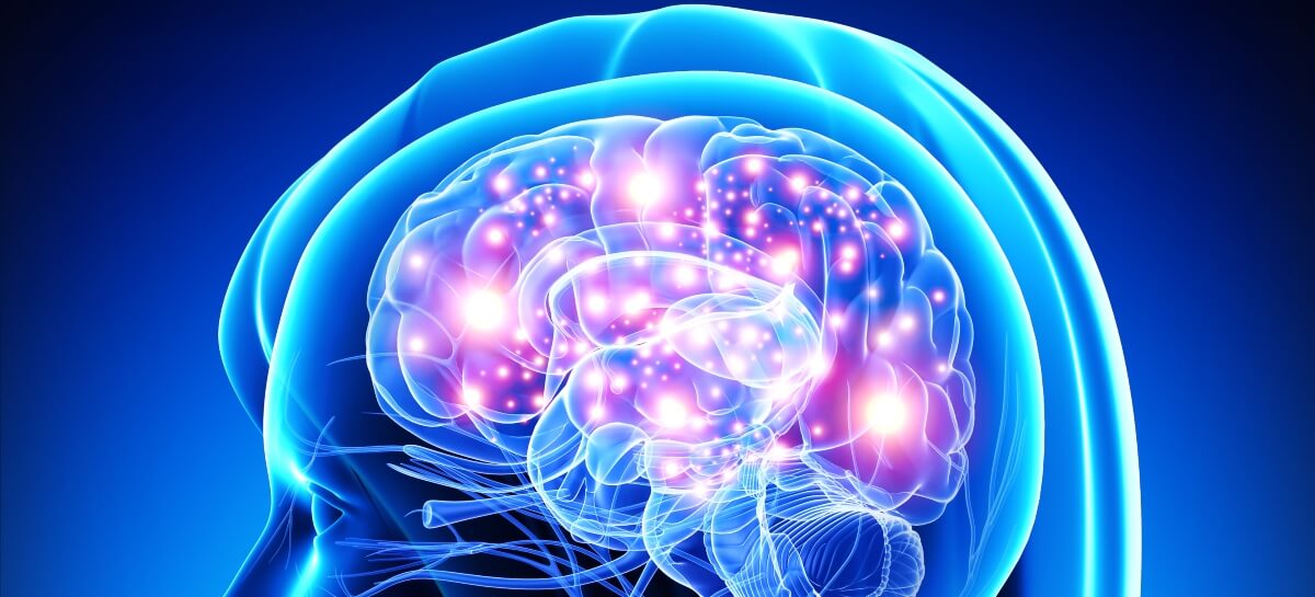 Illustration of human brain