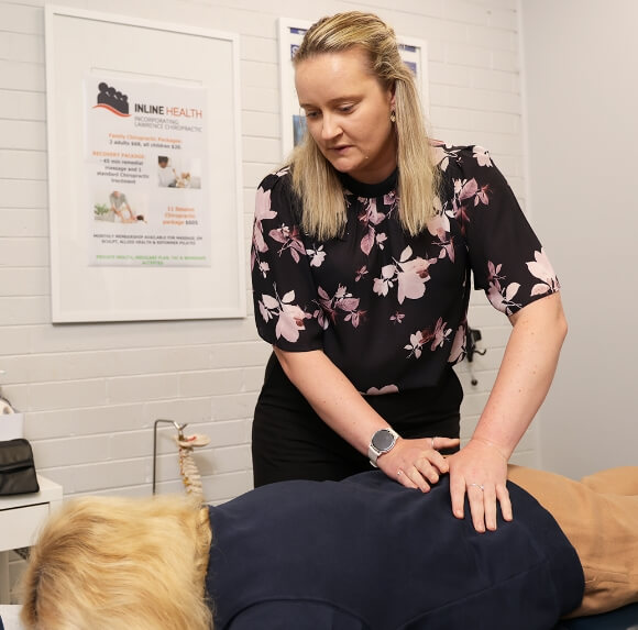 Essendon chiropractor adjusting patients back